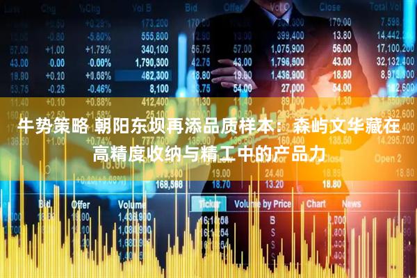牛势策略 朝阳东坝再添品质样本：森屿文华藏在高精度收纳与精工中的产品力